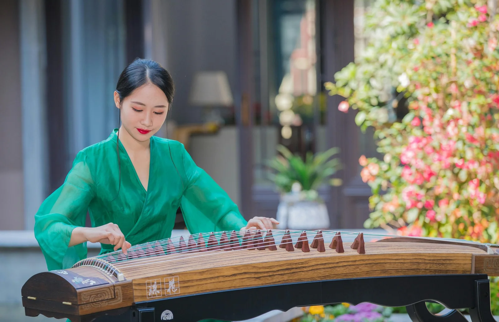 Người chơi đàn mặc áo lụa xanh lá gảy cổ tranh ngoài trời, bên khóm hoa