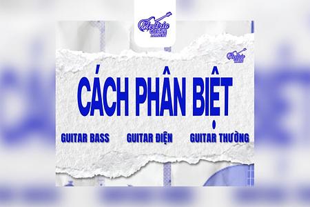 Phân Biệt Guitar Thường, Guitar Bass Và Guitar Điện
