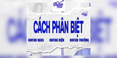 Phân Biệt Guitar Thường, Guitar Bass Và Guitar Điện