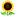 🌻